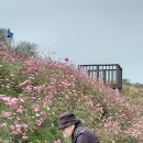 주남마을길 이미지