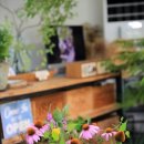 데이지플라워샵 이미지