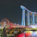 오차드식당 이미지