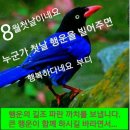 8월첫날 8월한달 좋은일 많길 빕니다ᆞ 뉴스입니다 이미지