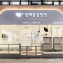 지중해동물병원 이미지