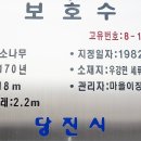 우강초교 이미지