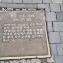 웰메이드진영 이미지