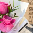 바니의케이크