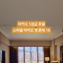 아코르테 이미지