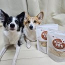 곡물이네 | (간식추천)오가네팜 오가네 곡물칩 먹어본 후기