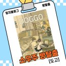 [수원 방탈출] 참신했던 소우주 도고(DOGGO) 솔직 후기