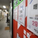 나이스부동산중개 이미지