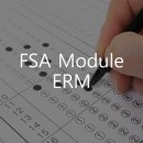 보람APC | [SOA] FSA Module ERM 후기