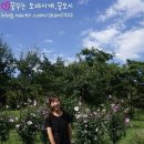 몽마르뜨 이미지