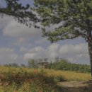 규용농장 이미지