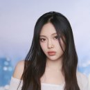 무드무드 이미지