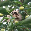 서촌농장 이미지