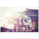 미술관안마시술소 이미지