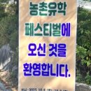 씨없는곶감(학동)농촌체험휴양마을 이미지