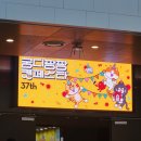 금양이(금쪽 같은 내 고양이) | 37th 궁디팡팡 캣 페스타 대전 DCC 오픈런 후기 및 꿀팁😽🎊