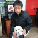 타이어프로 양촌점 이미지