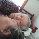 박길수 카카오 검색결과