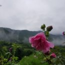 갈론계곡캠핑장 이미지