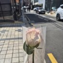 쥬얼리주스