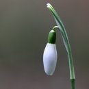 바리스타자격증(2급)-야간 이미지