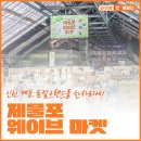 광신벽돌 | 인천 대표 로컬브랜드를 한자리에! 2026 제물포 웨이브 마켓 후기