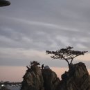 짐부티킹 | 경상도 백패킹 박지 경주 지경해변 위치 및 주차 정보