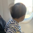 꿀휴계소 | 아기와 함께한 제주 2박3일 여행코스 🩵맛집·관광지 13곳 실패 없는 꿀조합 동선 총정리!