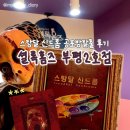 스토리짐(521)(스크린) | 부평 공포방탈출 중도 포기 외친 극쫄보 후기, 셜록홈즈 부평2호점 스탕달 신드롬