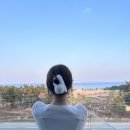 페리카나송지호점 | 강원도 고성 숙소 | 파랑뷰 호텔 커넥팅룸 후기 (조식, 바베큐, 실내수영장) 강원도 호캉스 신상숙소