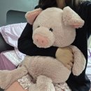 원도안로-8 이미지