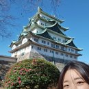 자매수예 | 나고야 5박 6일 여행 둘째날, 하루 중에 한순간만 좋아도 행복한 하루 with 나고야의 morning 문화 (4)