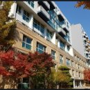 의료법인 영제 의료재단 엔케이세종병원 이미지