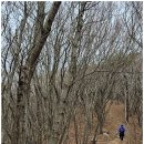 2024년3월3일 인천 무의도 호룡곡산 트레킹 이미지