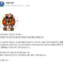 메디케어 코리아 | 건강·의료 콘텐츠 좋아요? 코메디닷컴 서포터즈 2기 모집 &amp; 1기 후기