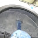 뷔르트