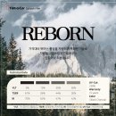 리본(Reborn) 이미지