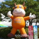 한우소장수 이미지