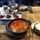솥쟁이 이미지