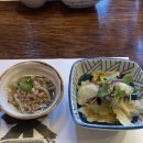 스시와다 | 판교 아브뉴프랑 점심 회식 추천 맛집 가성비 오마카세 스시혼 | 내돈내산, 솔직후기