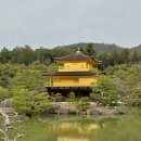 일일 | 교토 일일 버스투어 후기 가격 여행한그릇