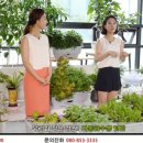 화분들닷컴 이미지