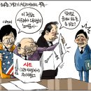씨어 이미지
