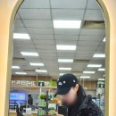 하나로안경마트 | 김천안경 맛집 [안경매니저 김천하나로마트점] 변색렌즈 구매후기