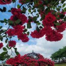 삼문동둔치주차장 이미지