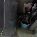 리챠드헤어 이미지
