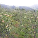 뉴한길공인중개사사무소 이미지