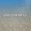 2022 하와이 오아후 여행 Ep1 와이키키 비치콤버 아웃리거 호텔 수영장 와이키키해변 진주만 울루아라군