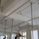허니폴댄스
