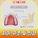 양근영치과 이미지